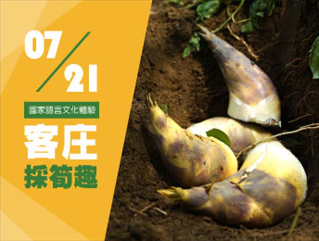 國家語言文化體驗活動活動計畫-客庄採筍趣
