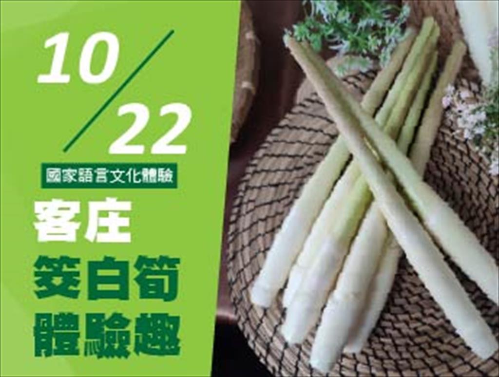 115年「客庄茭白筍體驗趣」活動