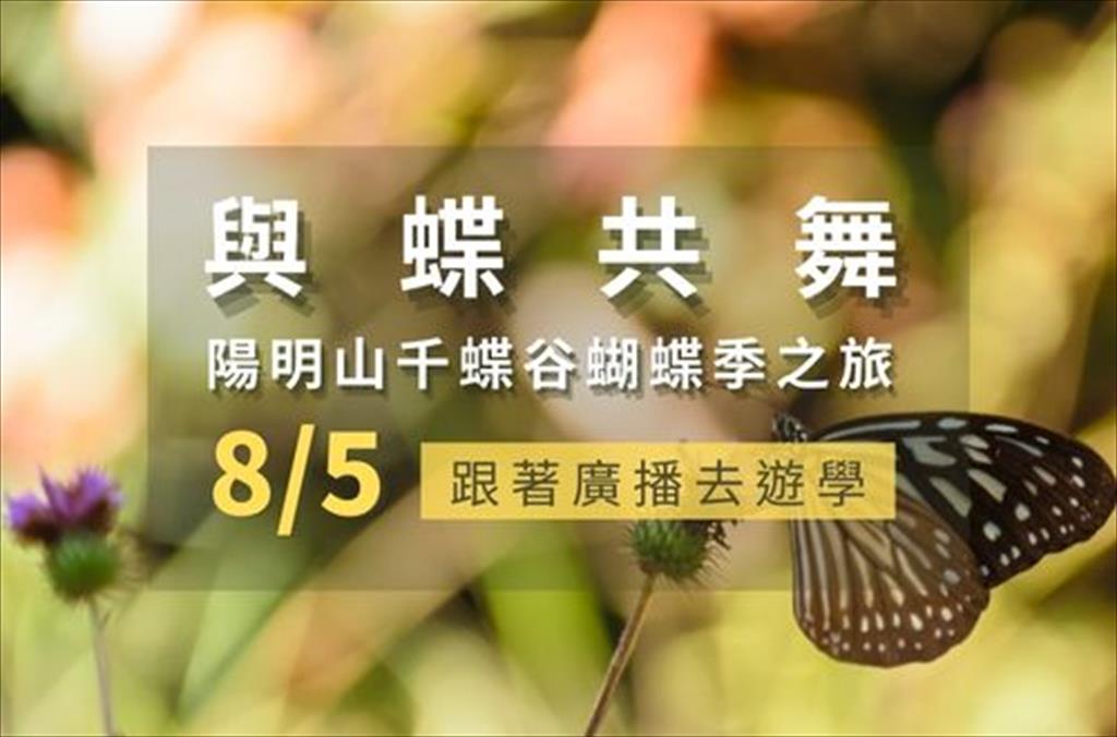 與蝶共舞-陽明山千蝶谷蝴蝶季之旅